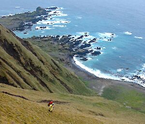 Descending down the Grassy Jump-up. Tony can be seen a further 50 metres down the steep slope. Hundreds of seals can be seen on the beach at the base of the slope and Hurd Point can be seen jutting out into the ocean in the top left of picture