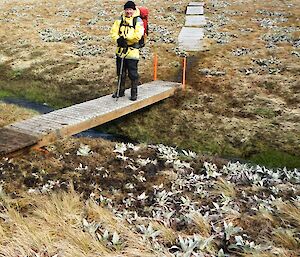 Job all done. David, with his backpack on, standing on the newly repaired bridge.