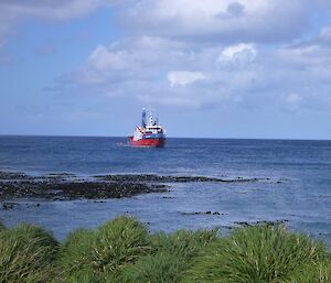 The transfer of cargo. A IRB can be seen next to L'Astrolabe in the distance. Lush green tussock can be seen in the foreground