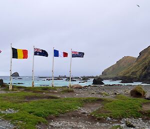 Multi national arrival of L'Astrolabe. Five flag poles are adorned with flags from 5 different nations, representing the nationalities (UK, Germany, Australia, France and New Zealand) of the incoming expeditioners. and L'astrolabe