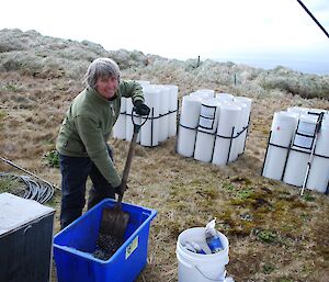 At the site on Wireless Hill — Natalie with a spade and a big blue plastic tub, making the mix. There are four banks, each containing 9 plastic tubes (20cm diameter) behind her