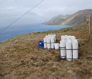 Azorella seed orchard , consisting of four banks of nine tubes on the grassy flat area of Wireless Hill. The ocean and east coast of the island, including the Nuggets can be seen in the background