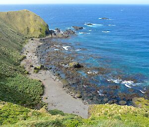 Colourful view of Secluded Bay bathed in bright sunlight form a high vantage point. Many elephant and fur seals can be seen on the beach far below