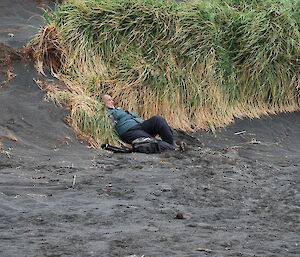 'Happy Chappy'. A tourist rests on the sand, leaning against the tussock