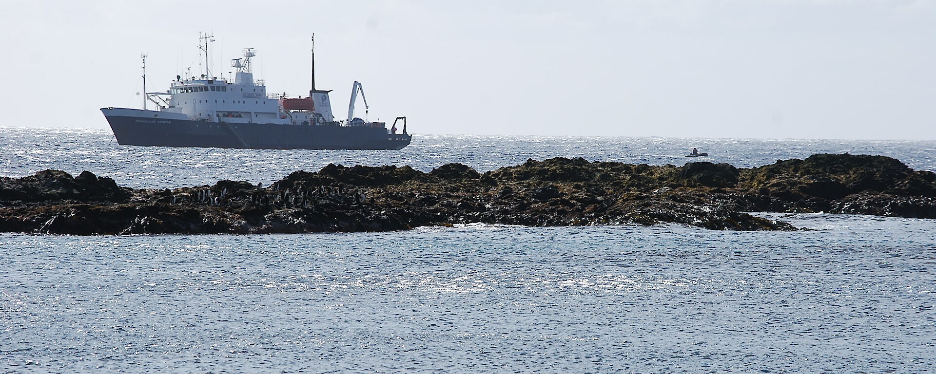 Spirit of Enderby off Sandy Bay. There is a exposed rocky outcrop in the mid-forground and one of the ships IRB’s can be seen making its way across the water