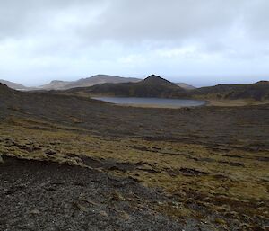 'Moonscape’ of gravel interspersed with ground cover plants above Lake Ifould. There are hills and valleys in the background behind the lake