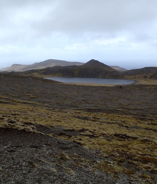 'Moonscape’ of gravel interspersed with ground cover plants above Lake Ifould. There are hills and valleys in the background behind the lake