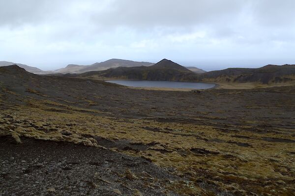 'Moonscape’ of gravel interspersed with ground cover plants above Lake Ifould. There are hills and valleys in the background behind the lake