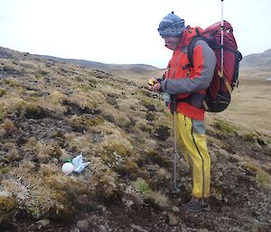Aaron standing on a slight slope of gravel and azorella, taking a reading on his GPS, helping with field collecting. He is wearing his wet weather gear and carrying his red survival pack