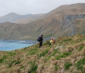 Pete, Ange and Cody (the dog) from the MIPEP team working on Wireless Hill. The east coast and escarpment are in the distant background