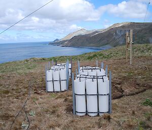 The completed seed orchard of 54 plants. The orchard is made up of 20cm plastic tubes fixed together in 6 groups of nine tubes on the grassy site near the Wireless Hill antenna. The east coast escarpment and the Nuggets can be seen in the background