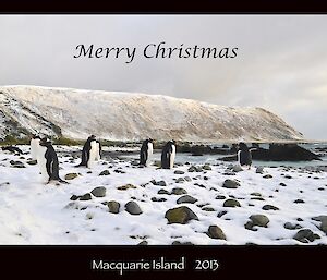 Merry Christmas from all at Macca. Image shows gentoo penguins on a snow covered bubbly beach with the heavily snow covered escarpment in the background and the words ‘Merry Christmas’ written on sky and ‘Macquarie Island 2013’ written on a black border below the picture