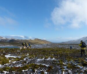 Gratitude Rendez-vous. Five of the MIPEP team, including five dogs, converge on the snow covered plateau towards Gratitude lake in the background