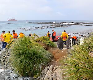 At Landing Beach — The departing expeditioners getting ready to board an IRB. In the foreground are three large gentoo chicks on a small rocky and grass covered ridge, while in the distant background the Aurora Australis sits well offshore