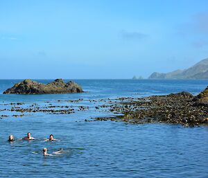 Expeditioners swimming in Buckles Bay on a sunny Christmas Day