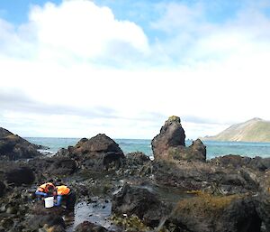 Bianca and Jess enjoying a beautiful morning working at Garden Cove. They are both dressed in a dry suit and are standing in a rock pool gathering samples