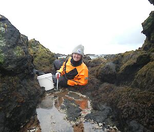 Jess laying amongst the kelp by the side of a small rock pool, gathering small sea stars with a large ‘eye dropper'. She is wearing a dry suit and has a small white bucket alongside her