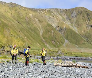 What remains of the tail of the southern bottle nose whale. Mike, Kate and Jamie stand next o the skeletal remains of a 2.5 metre section of tail and vertebrae of the whale. The escarpment looms in the background