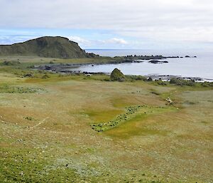 The view from halfway up the escarpment — across the featherbed, Langdon Bay and Langdon Point. Kris and Clive can be seen walking across the featherbed