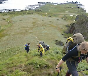 Jaimie, Mike, Kate and Kris can be seen climbing up the steep slope of the escarpment. The featherbed can be at the bottom of the slope, with Langdon Bay, Unity Point and Unity Bay beyond