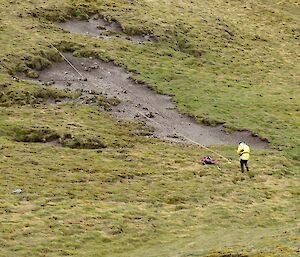 Mike measuring a large eroded area in the island’s south. He is standing at the bottom of a bare patch of slope, with a measuring tape across the length of the bare patch