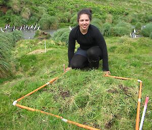 Laura kneeling in behind a square of orange plastic tubing surveying the wintergrass at the Nuggets