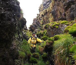 Aurora Point, Clive makes his way through a steep sided rocky gully which is covered in colobanthus and tussock grass