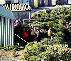 Australia Day — a dozen expeditioners enjoying the BBQ and the sunshine outside the boat shed. Station buildings can be seen in the background and tussock is thick along a strip just above the beach