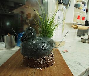 Jaimie’s birthday cake — a sooty albatross (gluten free) sitting on a nest. There is a bundle of tussock grass alongside