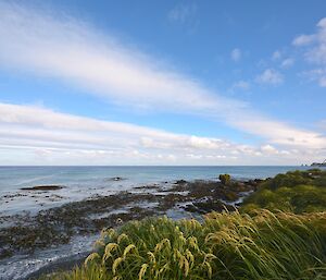 Lenticular layers of cloud in the lee of the island. The view form the east coast, and is to the south with tussock in the foreground and a hint of the escarpment and the Nuggets in the far right background