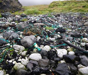 Many pieces of green braided fishing line washed up on the rocky beach