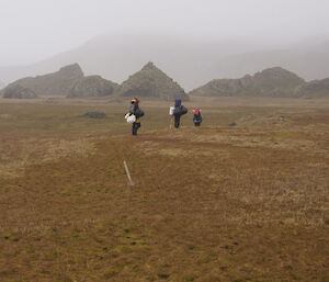 Slow progress across the vast featherbed — shows three people, each wearing a survival pack loaded with extra marine debris, trudging across the misty featherbed