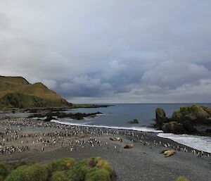 Green Gorge Beach. The view from above the beach shows some elephant seals and hundreds of king and royal penguins. Some dark ominous clouds appear on the horizon