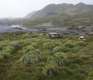 Bauer Bay Hut as seen from up the hill just to the south of the hut