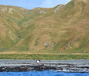 Clive and Robbie on Eagle Bay beach with the block of styrofoam and other marine debris. The coastal tussock is behind them and the rugged slopes of the escarpment provides a beautiful backdrop