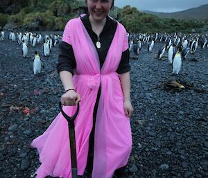 Leona in her pink birthday dress and wearing rabbit ears — standing on the beach at Green Gorge. She is carrying a spade and behind her in the background are many king penguins
