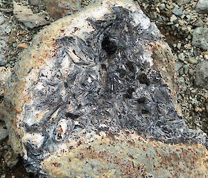 A macro close-up image of Phylon rock. The interior of the small rock has black fibrous masses within