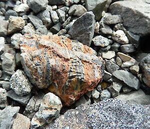 Strata rock — a close-up of a small rock which consists of layers of different coloured veins and layers which criss-cross the rock