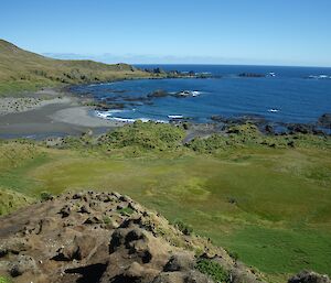 Bauer Bay — site of the monthly marine debris clean up. The photo is taken from a ridge well above the beach, showing part of the western featherbed, Bauer Bay, then Mawson Point beyond the bay