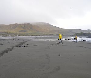 Clive and Chris walking lines up and down Bauer Bay beach, picking up marine debris during a monthly cleanup. Each is carrying a black plastic bag and wearing their yellow wet weather gear