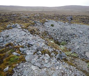 Not the plateau near Scoble Lake — looking northwards across the remnants of the old seismometer station. The trench is about two metres deep and has an old rusted iron picket at the base