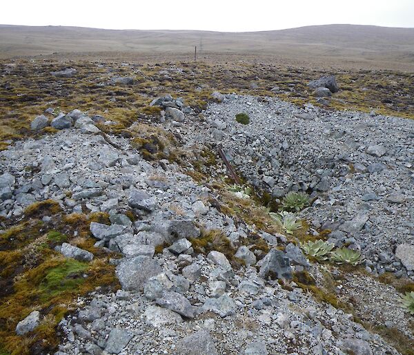 Not the plateau near Scoble Lake — looking northwards across the remnants of the old seismometer station. The trench is about two metres deep and has an old rusted iron picket at the base