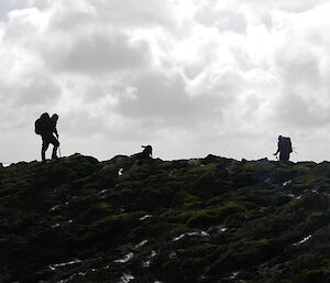 Nick, Wags and Jaimie are silhouetted against the bright sky as they search the coastal rockstacks for the missing red notebook