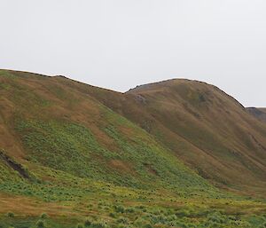 The notebook is present at waypoint 60. Kate can be seen walking through the tussock at the base of the escarpment. On magnification the red notebook can be seen strapped to the side of her pack