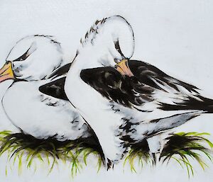 Painting of a pair of black-browed albatross