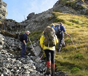 Josh, Jaimie, Chris and Kris discuss the relocation options for the pipe to go around the albatross nest