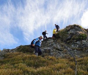 On steep ground; Chris, Josh, Jaimie and Kris moving the water pipe away from the albatross nest.