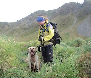 Senior dog handler, Karen with Finn in the tussock in front of the escarpment.