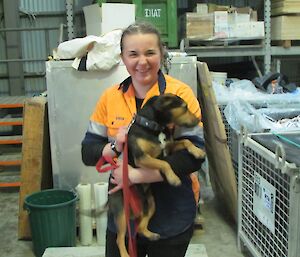 A ranger is shown holding a rodent detecting dog