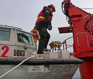 A rodent dog is shown inspecting a LARC